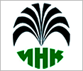 Иркутская нефтяная компания (ИНК)