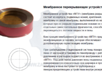 products381